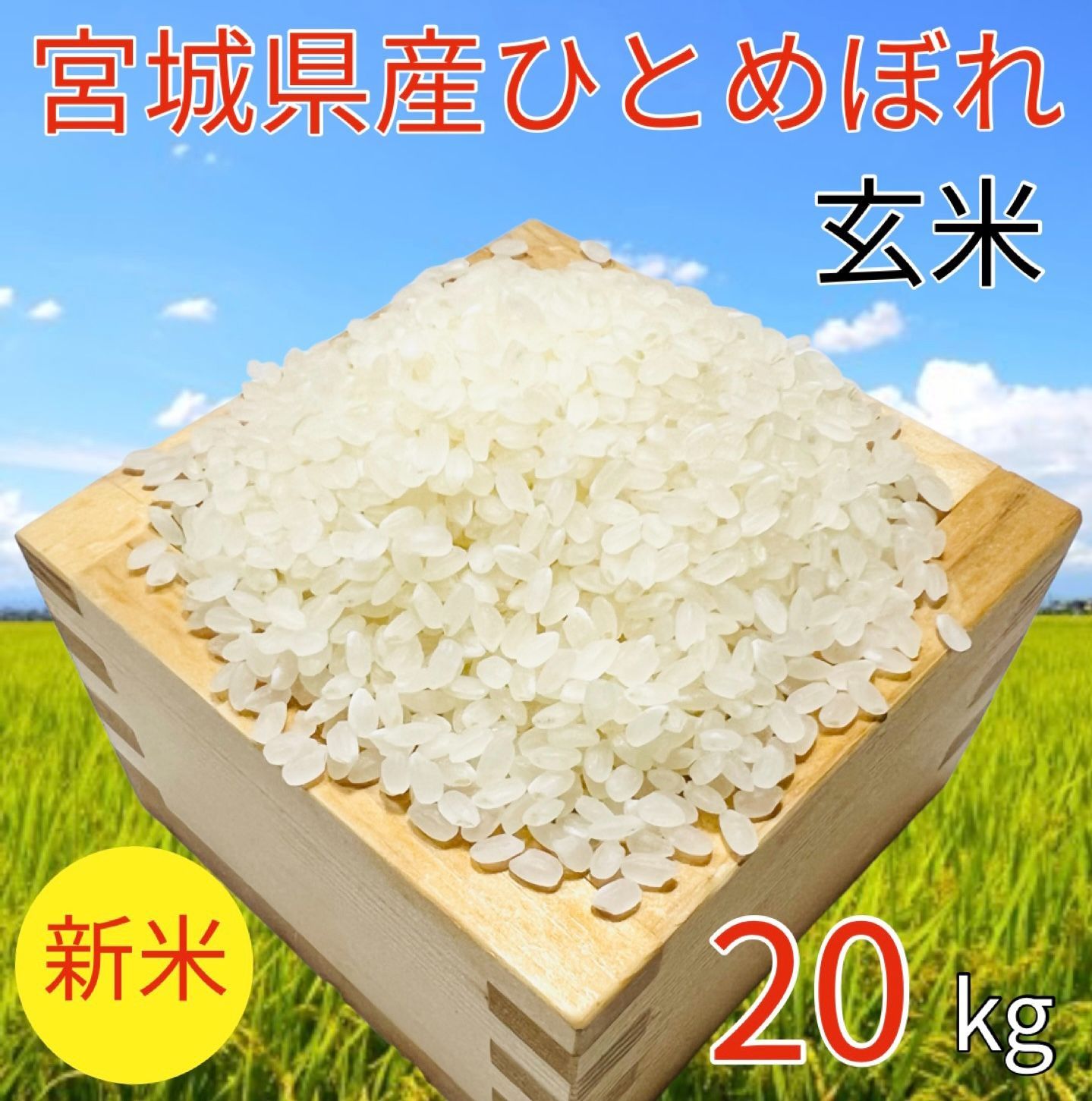 食品令和元年度産 宮城ひとめぼれ 20キロ - 米/穀物