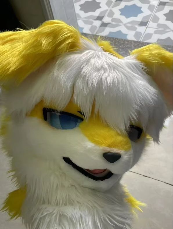 ドラゴン ケモノ 着ぐるみ マスク コスプレ ファースーツ 一点物