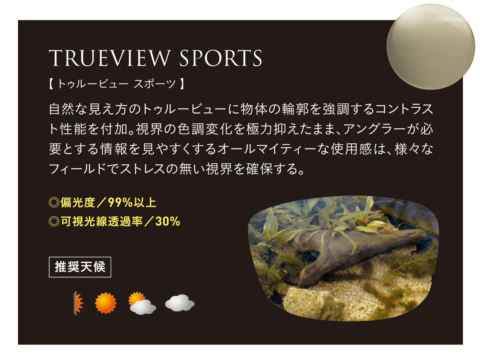デヴォン
