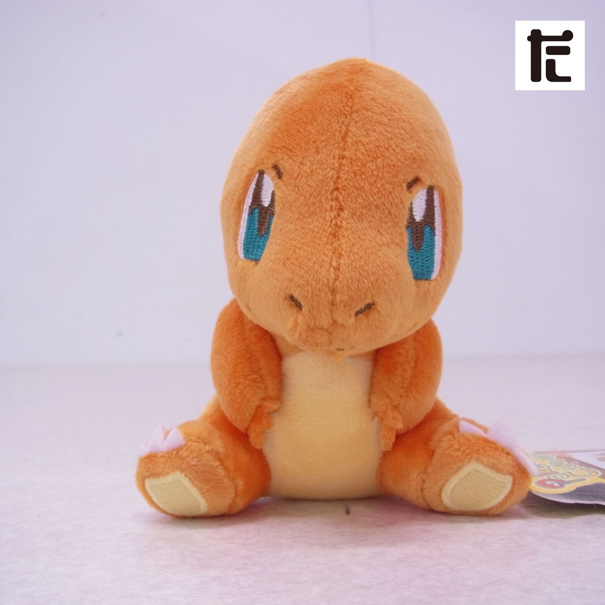 ポケモンセンターぬいぐるみ ポケモンキャンバス ヒトカゲ 紙