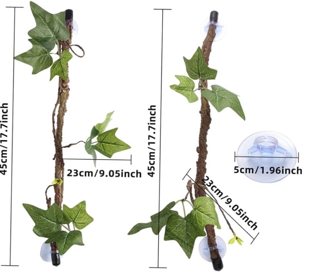 トカゲ つるつる