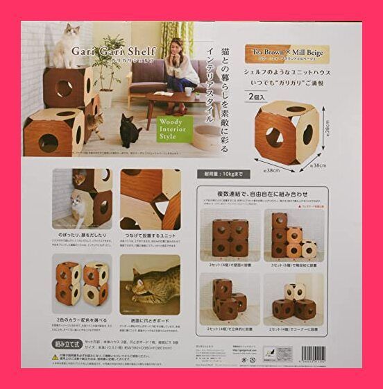 大澤扶二子□湘南の海江ノ島□赤富士□絵画□油彩□大きいサイズのF8号□