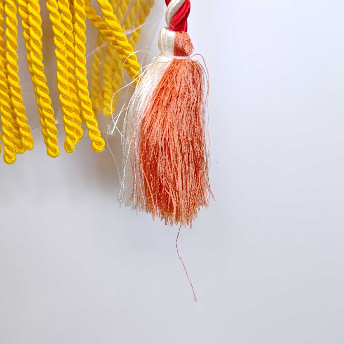 アクティブバイオ 2002/03/23 第50回 日経賞 G2 優勝レイ 後藤浩輝  