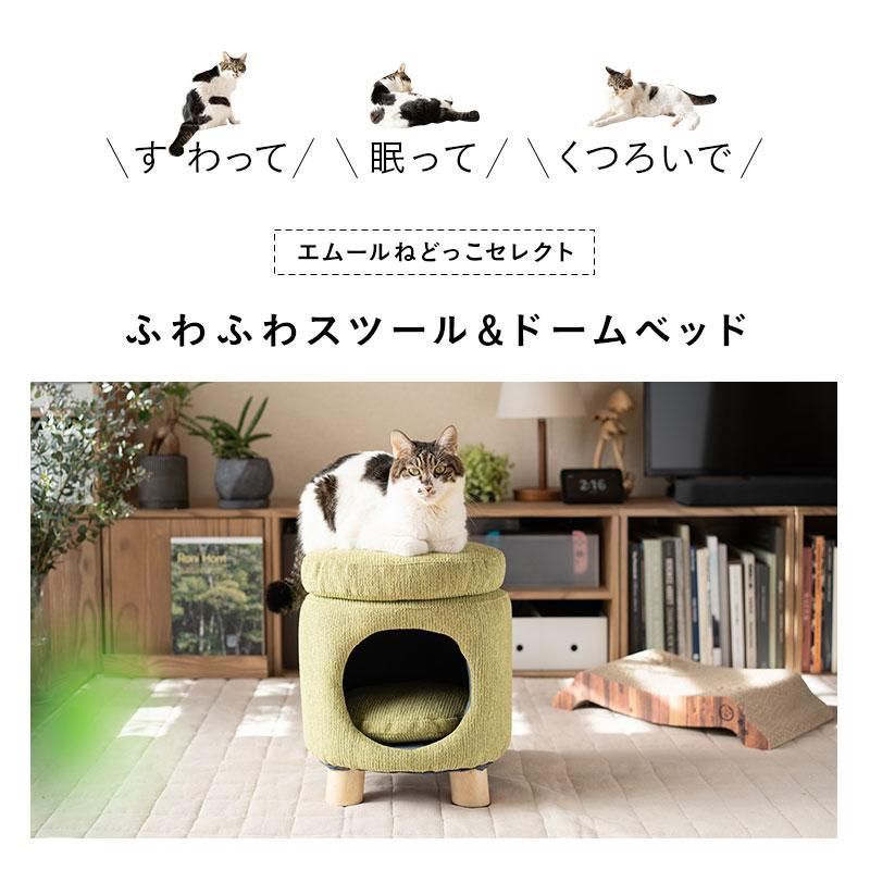 ねこ ネコ