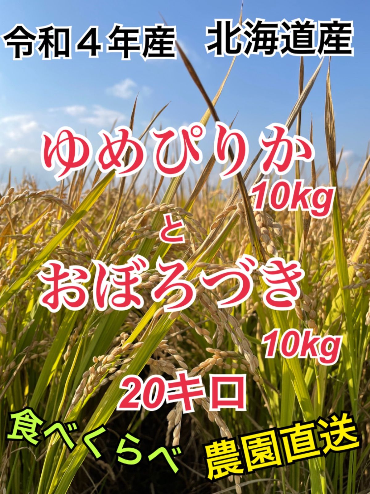 令和4年産 北海道米 おぼろづき 20キロ 一等米 農園直送-