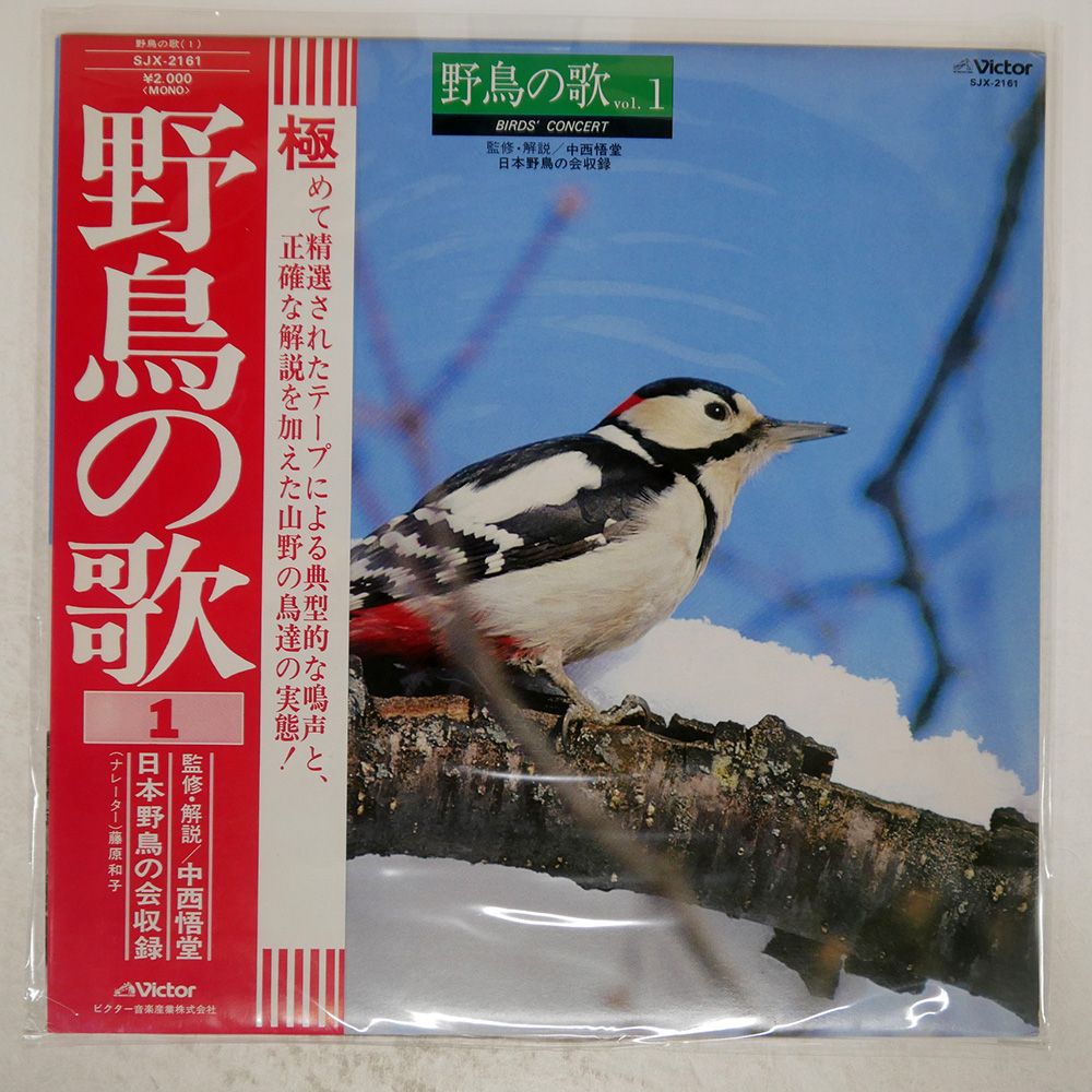 Amazon.co.jp: ROSSO チバユウスケ LP レコード BIRD 1st