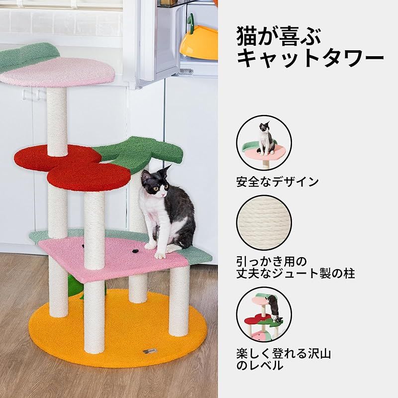 CAT★ 2006 Arctic Cat Z570 - 565cc Standard Equipment & Specs