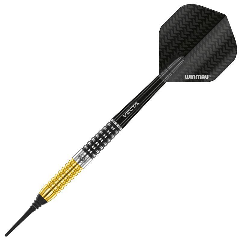 winmau ソフトダーツ スティーブビートン 単体20g - ダーツ