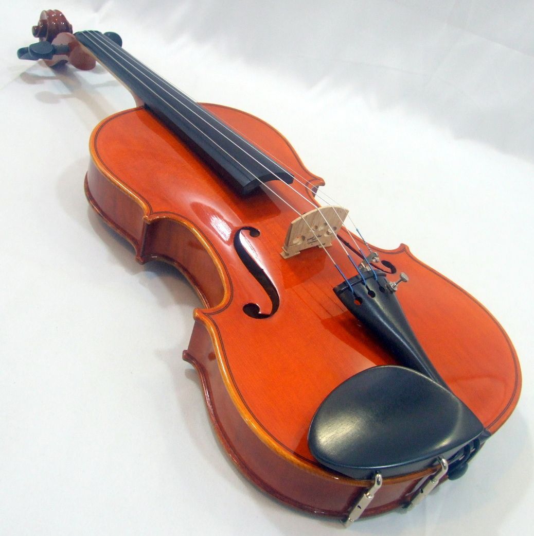 定価の半額 ケース変更