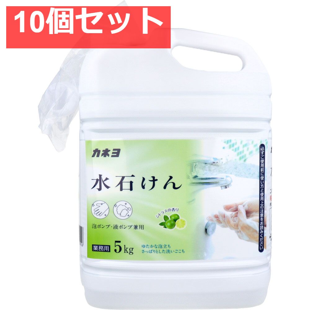 業務用 水石けん 泡ポンプ 液ポンプ兼用 シトラスの香り 5kg 10個セット