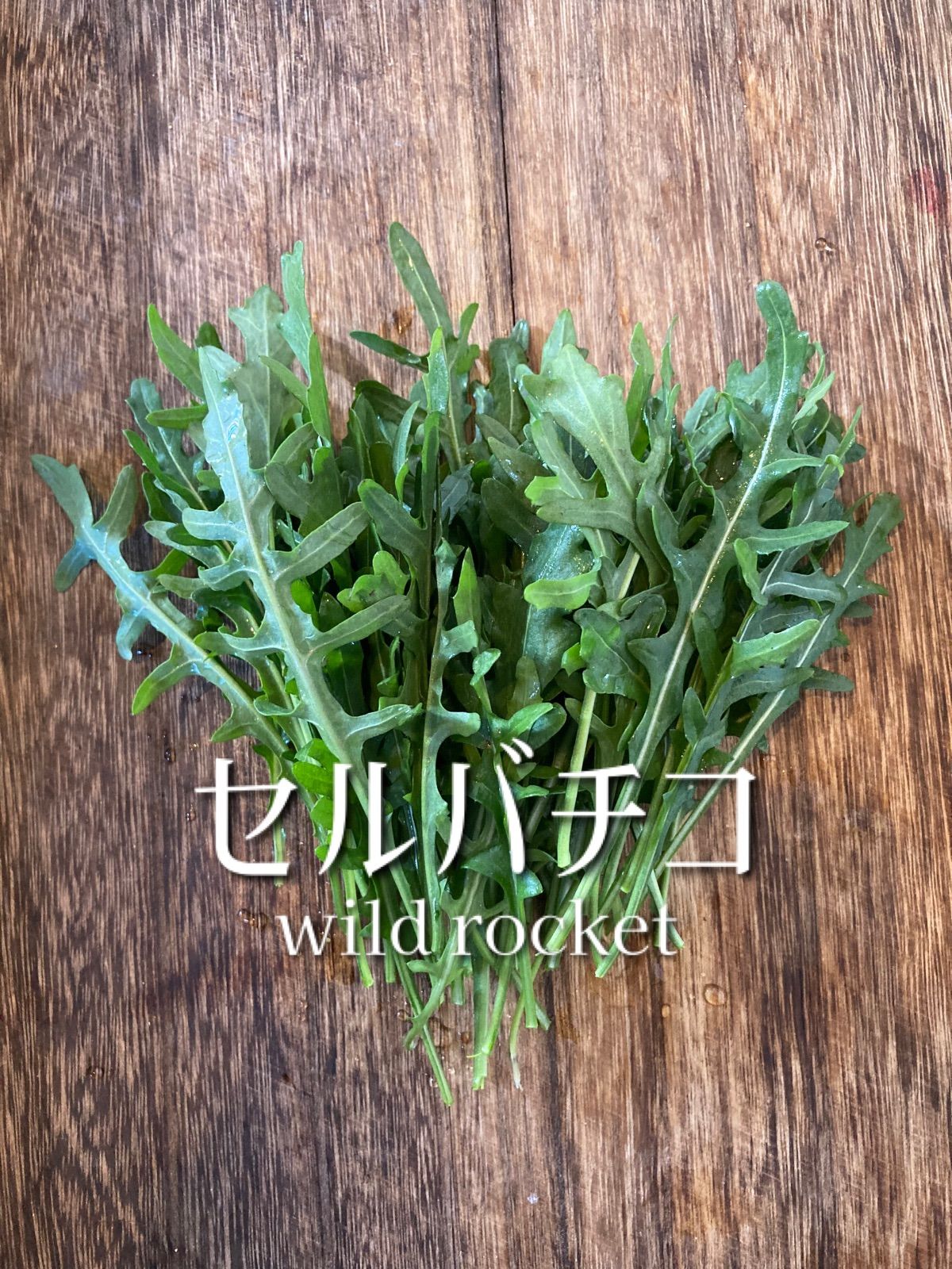 4点おまとめセット【899円のお品物×4点】
