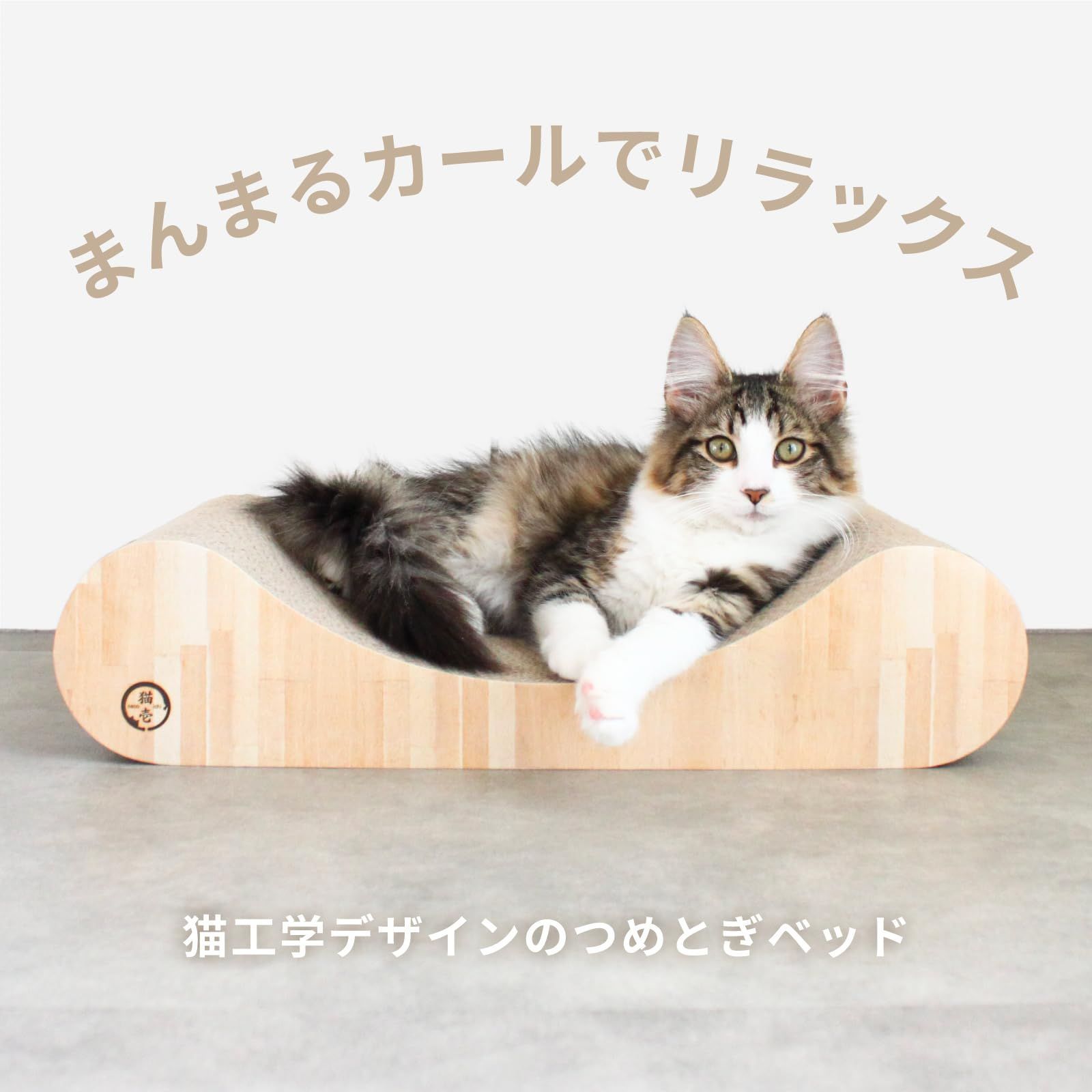 バリバリベッド
