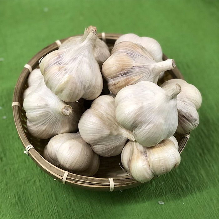 【上級品】青森県倉石産にんにく福地ホワイト六片種Sサイズ 5kg 上級品】青森県倉石産にんにく福地ホワイト六片種Sサイズ 5kg