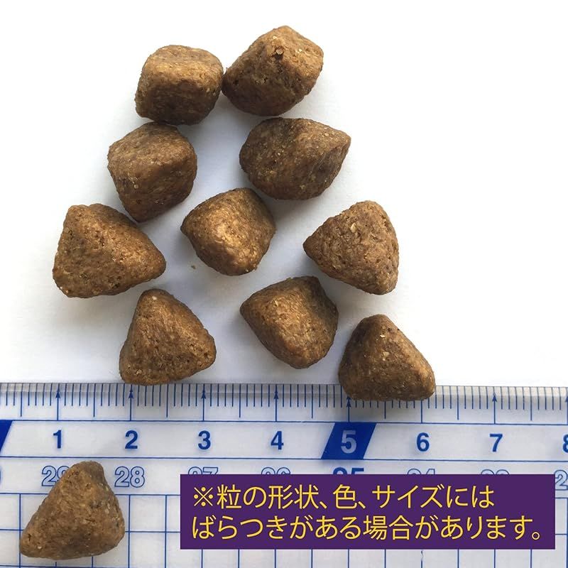 穀物不使用 高たんぱく質