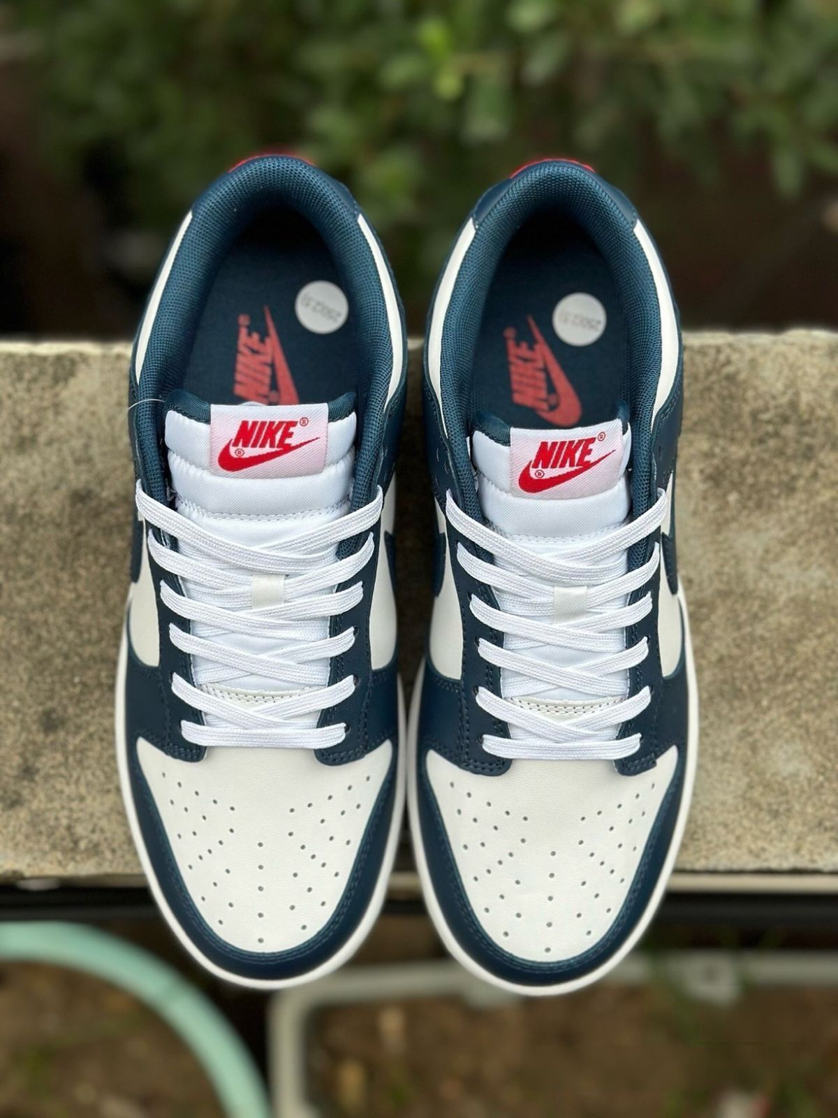 【本物保証 /関税・送料無料】Nike Dunk Low Valerian Blue Nike Dunk Low 'Valerian Blue' DD1391-400
