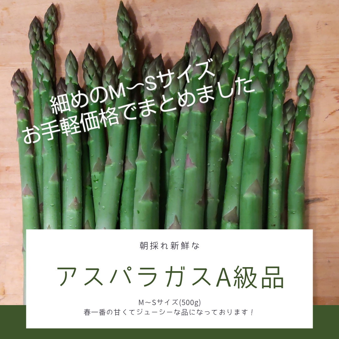 朝採れ新鮮なアスパラガスA級品厳選！細めM〜Sサイズ500g メルカリShops