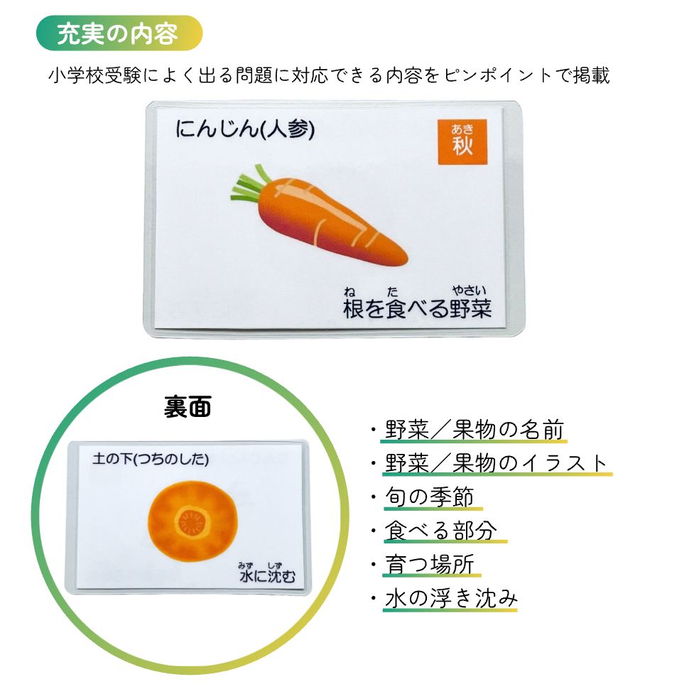 野菜と果物 断面図カード 小学校受験対策 幼児教育 - 知育玩具