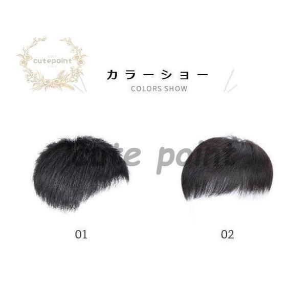 人毛 部分ウィッグ