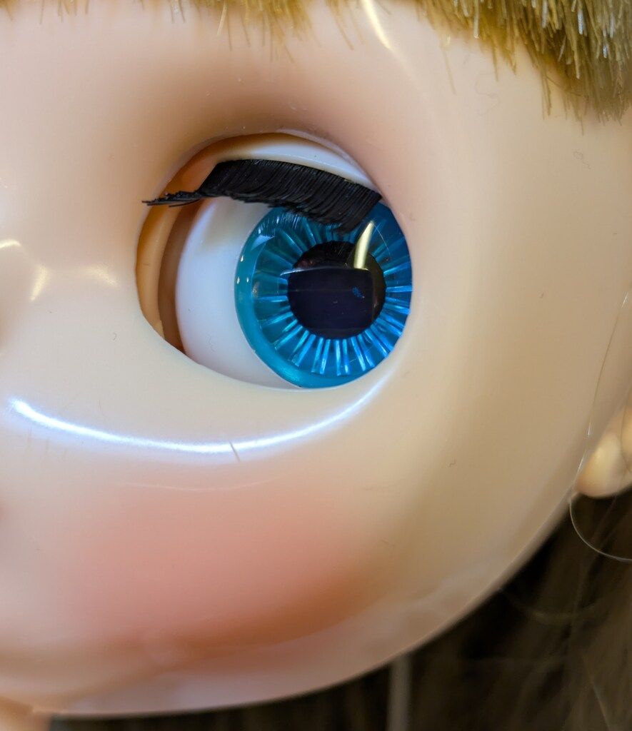 ヴァーシティ ディーン