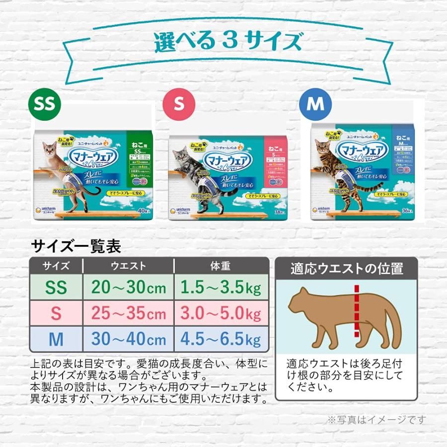 Sサイズ 228枚
