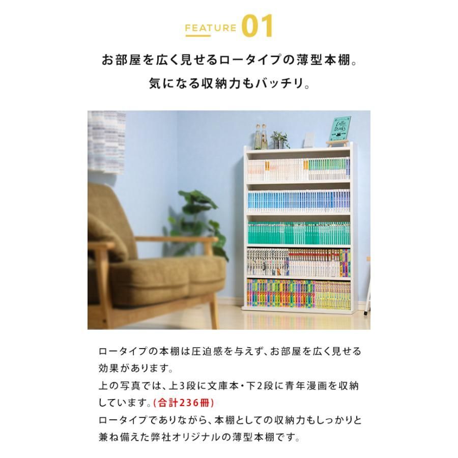 薄型 ロータイプ