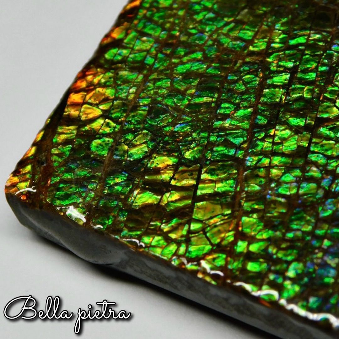 美遊色！高品質☆希少☆カナダ産アンモライト ピース ドラゴンスキン