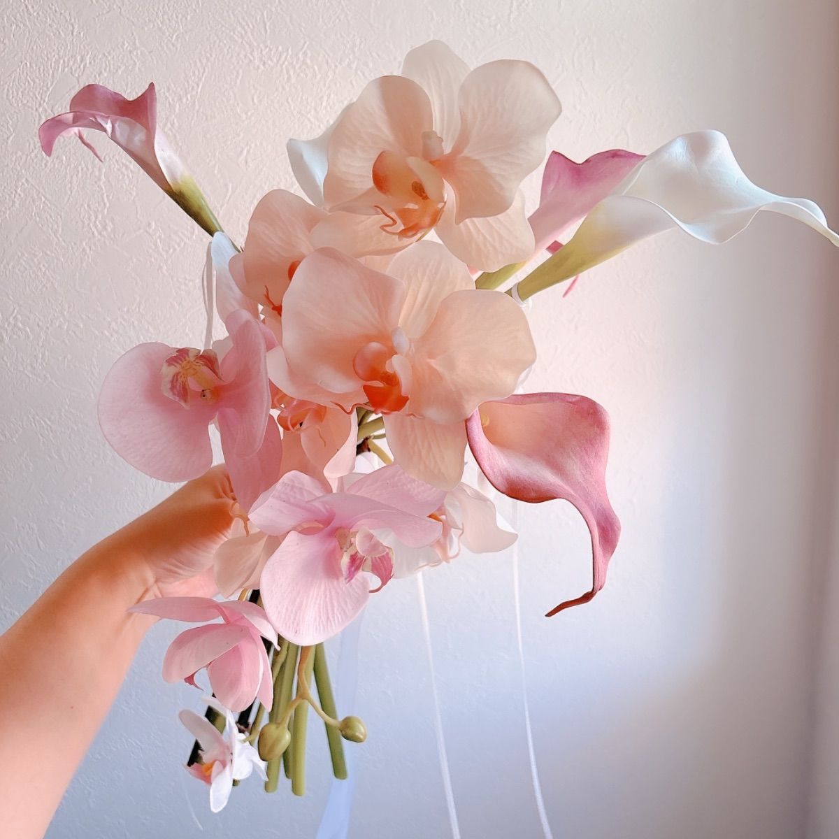 芝桜（シバザクラ）：トロット4号ポット の通販 | 園芸ネット