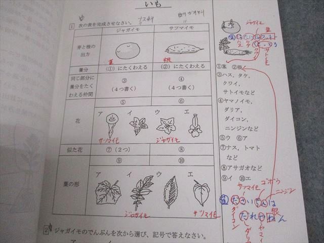 浜学園 小6 女子最難関コース対象教材 理科暗記テキスト 問題編(解答 