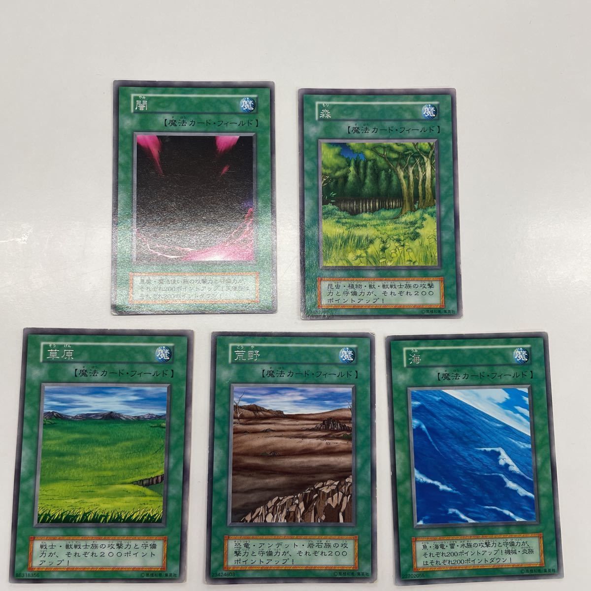 遊戯王 初期 山 海 荒野 草原 森 闇 フィールドカード Amazon.co.jp: 遊 戯 王 初期 山 海 荒野 草原 森 闇 フィールド