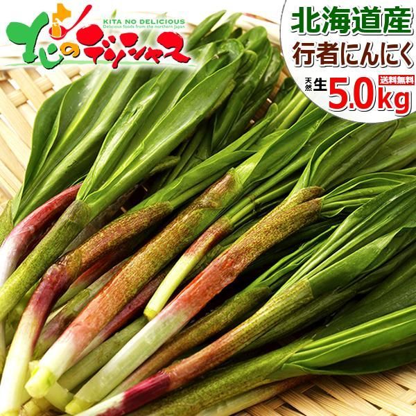 出荷中 北海道産 山菜 天然 行者にんにく 5kg 1束 50g×100束 春の味覚 天然 山菜 天然山菜 行者ニンニク 食品 野菜 ギフト 贈り物 お祝い 内祝い プレゼント ご家庭用 北海道 グルメ お取り寄せ
