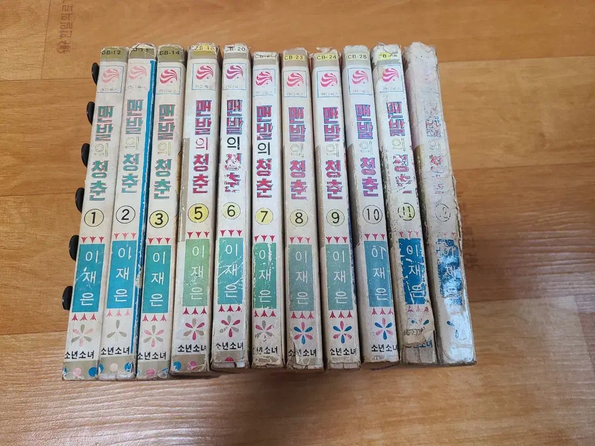 【雷市場（ポンジャン）商品韓国直送】 ベアフット・ユース 漫画