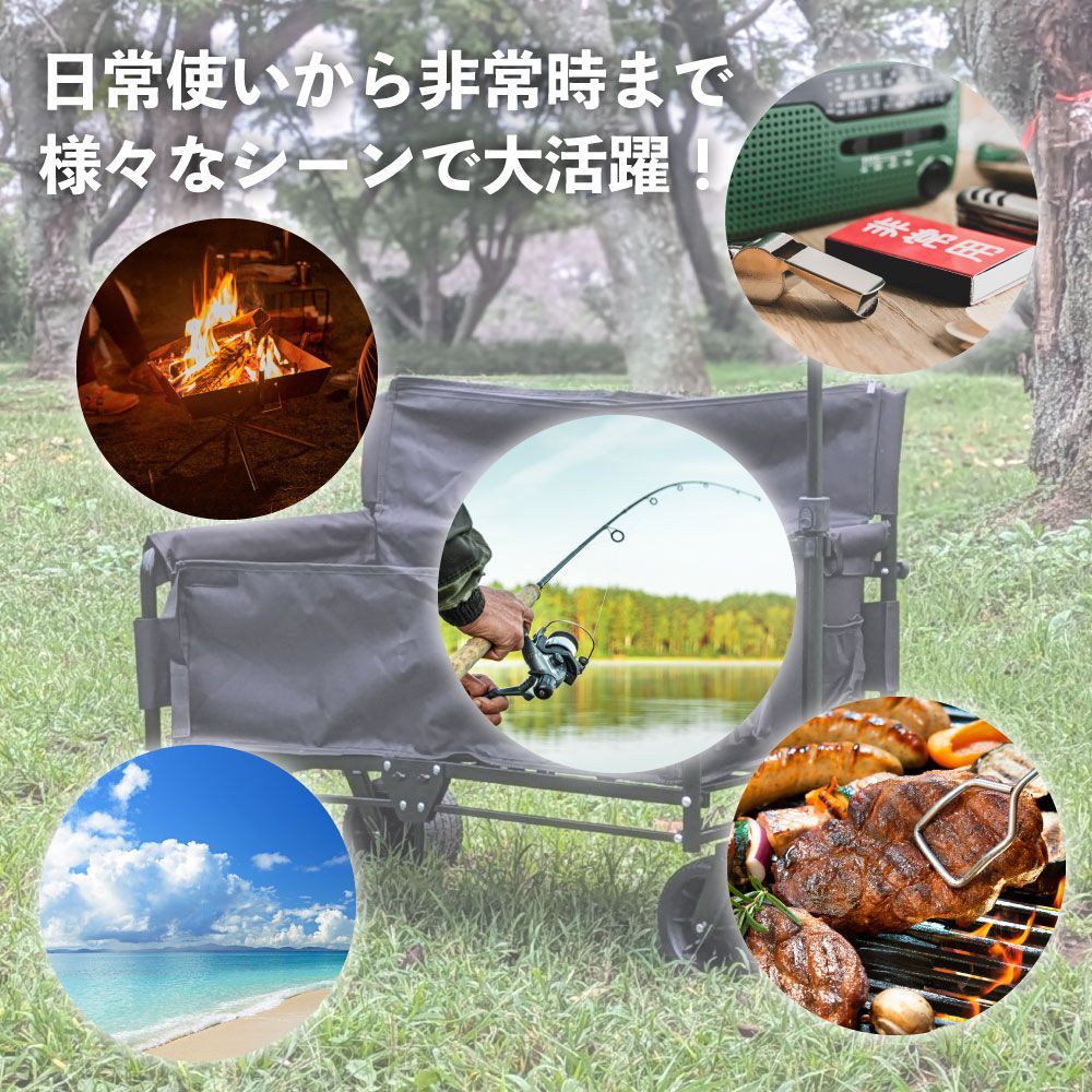 元祖 子供も乗れるキャリーワゴン