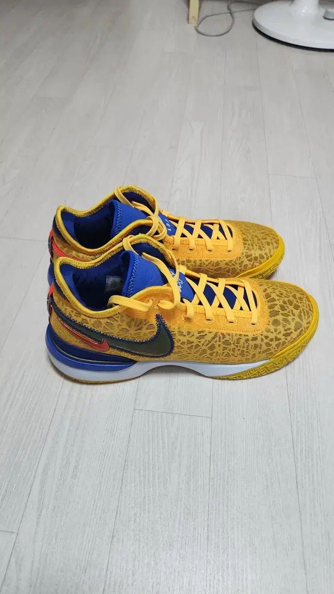 ナイキ レブロン NEXTGEN EP タイタン 285 バスケシューズ