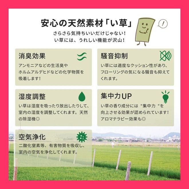 い草 上敷き 引目織 抗カビ 「谷川」 江戸間 36間 本間 江戸間1畳 畳と同じ織り方の引目織の上敷きです。 おすすめ おしゃれ　★売れ筋★　大人気 10912880