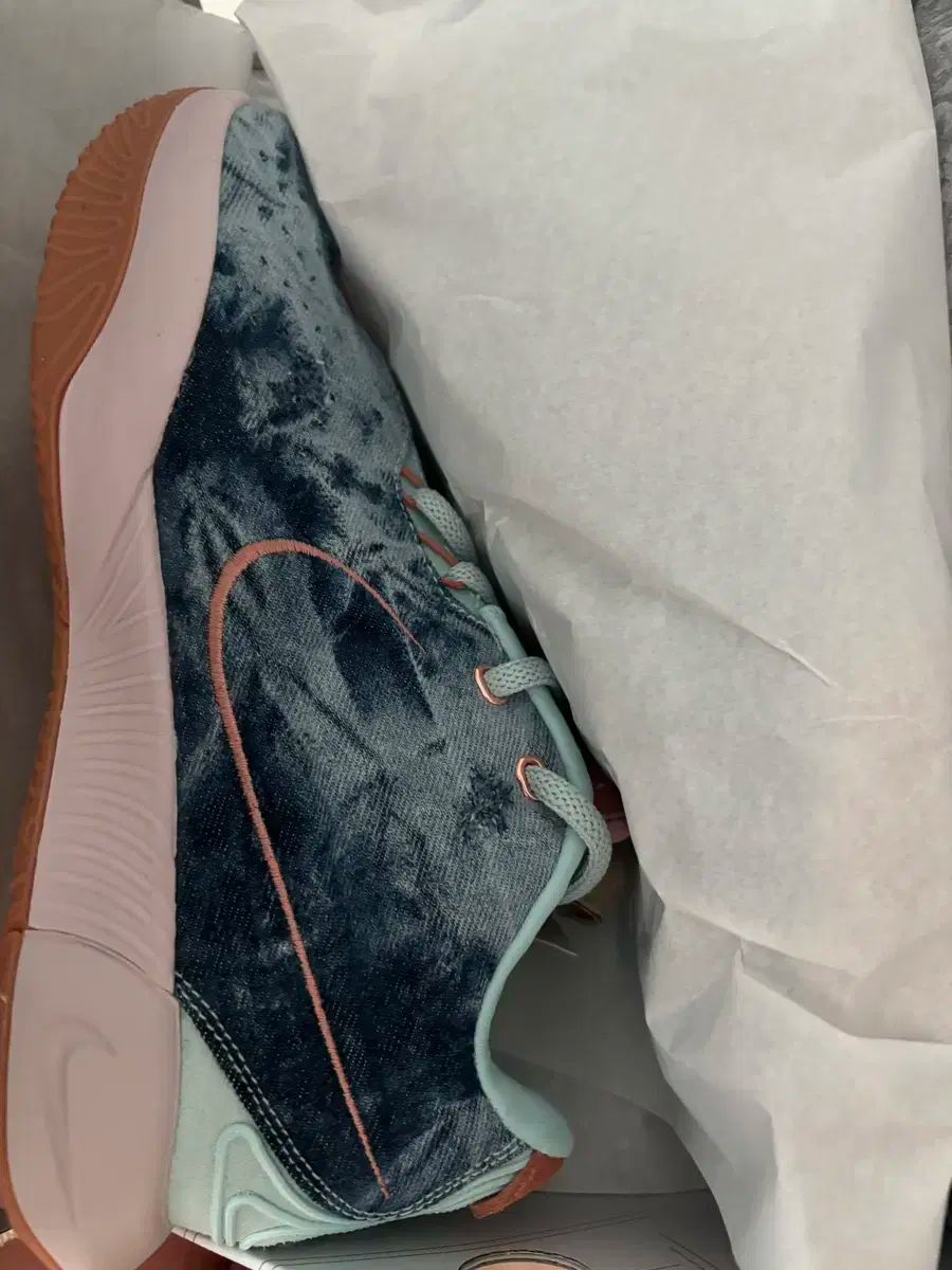 【雷市場（ポンジャン）商品韓国直送】NIKE(ナイキ) レブロン 21 バスケットシューズ 280 hf5466 ー 300