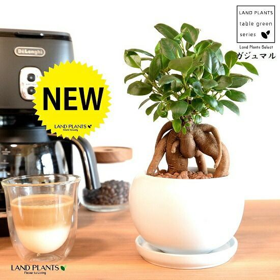 51220Eミナペルホネンハンドメイド ブガッティ ボストンバッグ