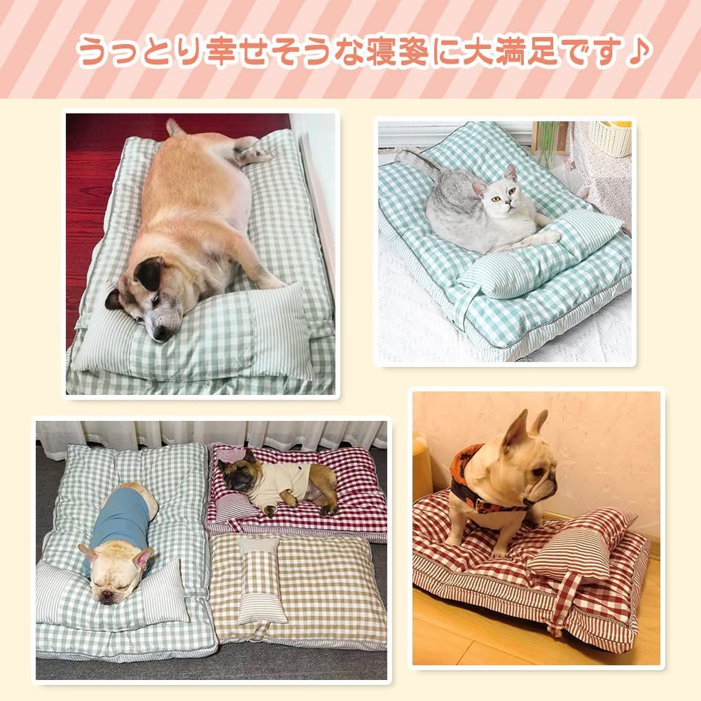 ペット キャット