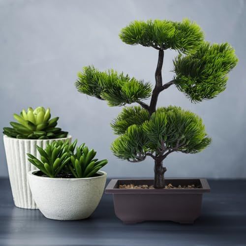 おしゃれ 完成品