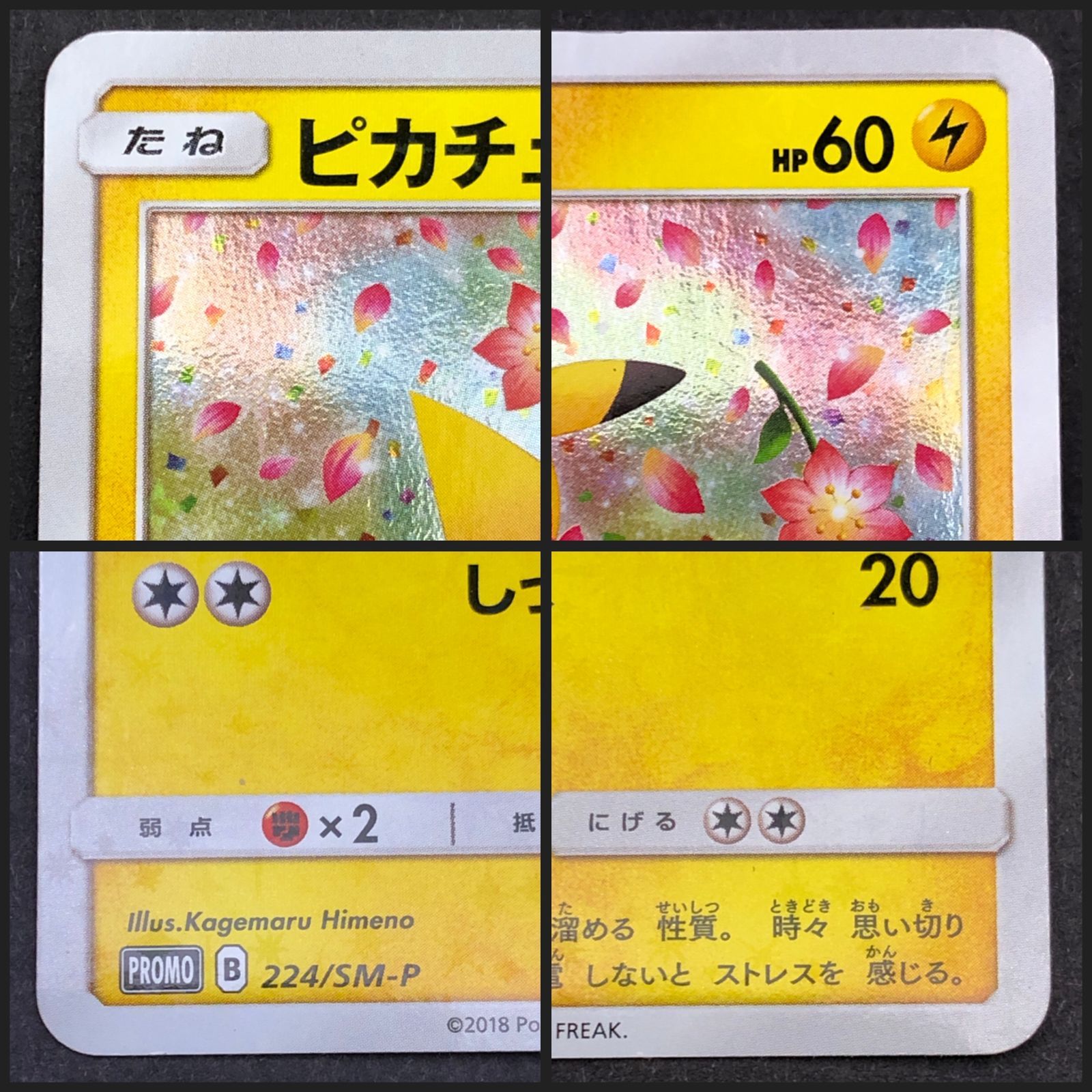 ピカチュウ みんなでいわう プロモ 楽天市場】ポケモンカード ピカチュウ みんなでいわう ポケセン