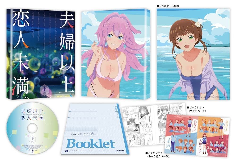 夫婦以上 恋人未満 DVD BOX 下巻