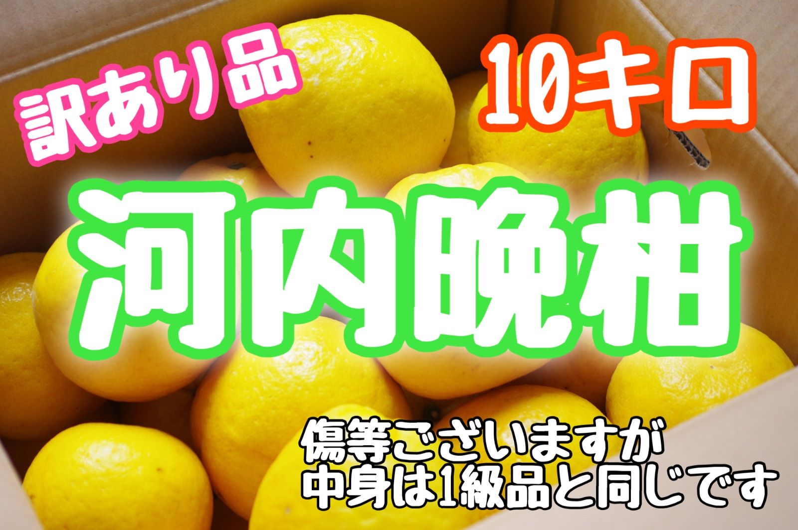 ⭐️超大特価⭐️‼️7枚様限定‼️訳あり品‼️河内晩柑 10キロ【送料無料】 メルカリ