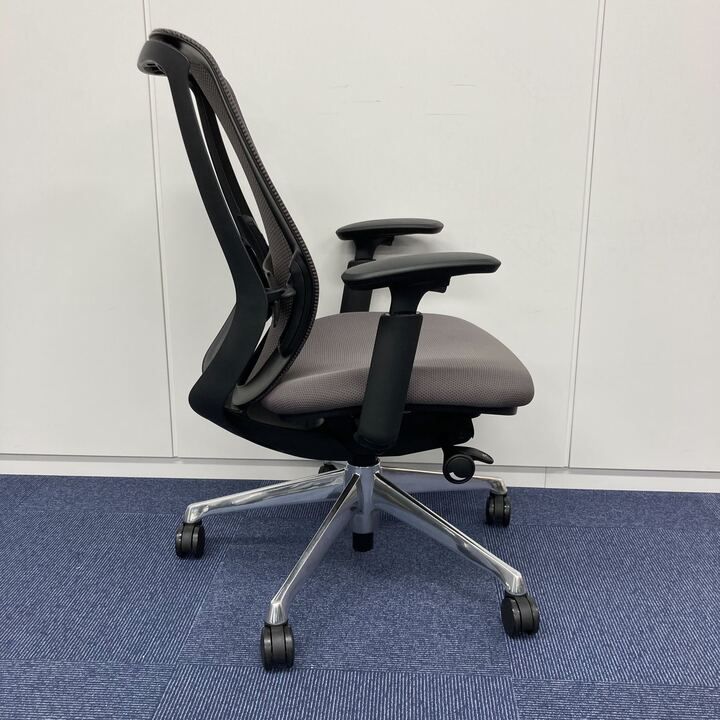 展示品_2024年製】Sylphy(シルフィー) みずみずし 