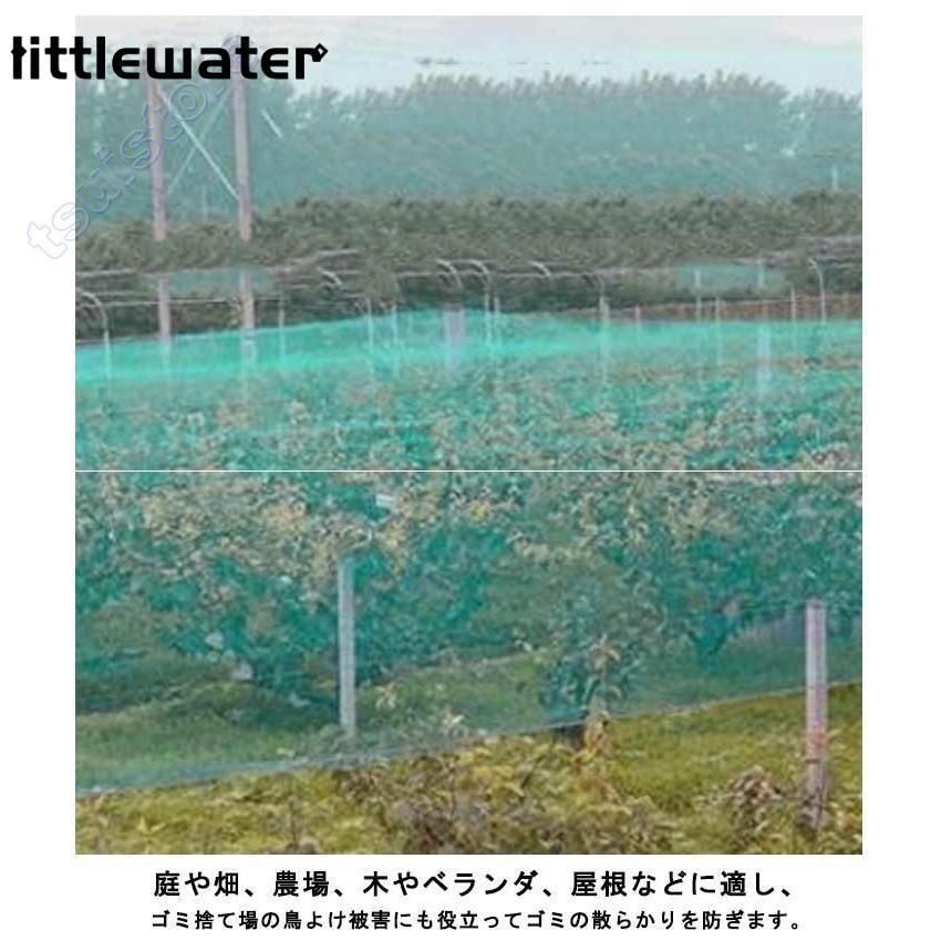 5m 果樹栽培にピッタリ