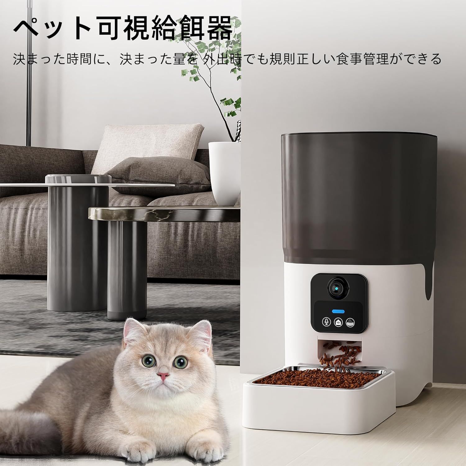猫 中小型犬用