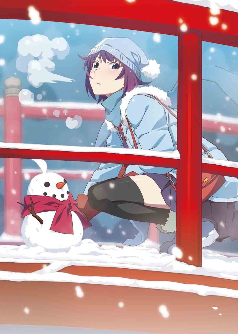 物語シリーズ、花物語、鬼物語、恋物語、囮物語、傾物語、猫物語全12巻 Amazon.co.jp | 物語シリーズ セカンドシーズン 猫物語 白、傾物語、囮