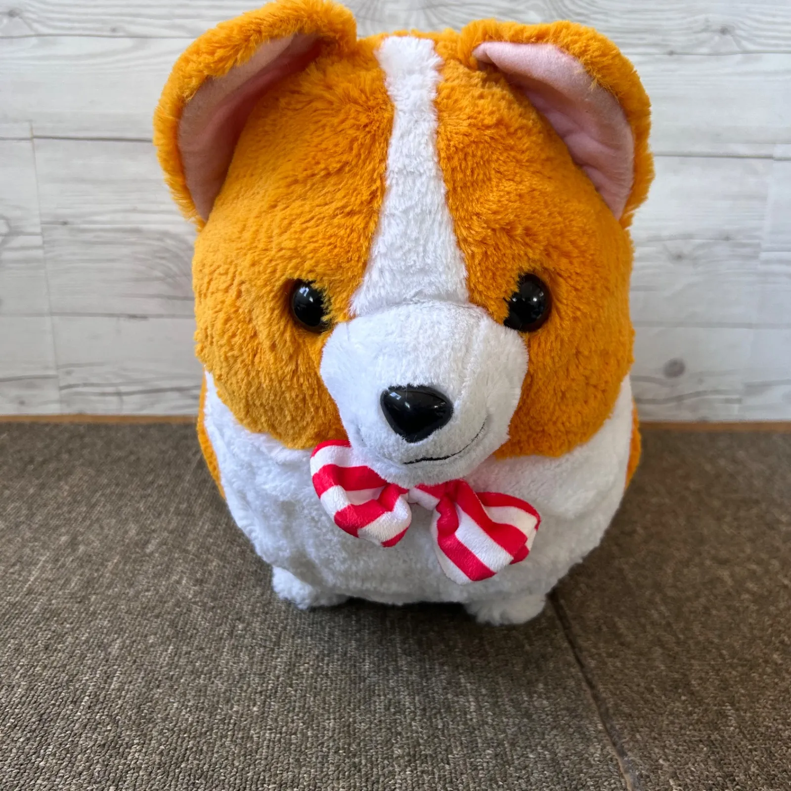 いち！にの！コーギー ただいま むぎちゃん JB 2025年最新】いちにの