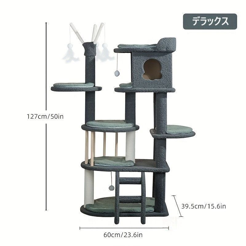 中型猫 大型猫