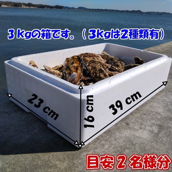 【新生牡蠣スタートです】「生食用 殻付き 牡蠣 ２ｋｇ」（目安20粒）「松島牡蠣屋　九州、沖縄用専用出品」牡蠣 殻付き 牡蛎 牡蠣 殻付 宮城県 生食用牡蠣 牡蠣生食用 カキ 牡蛎 BBQ  kaki 松島牡蠣屋かきバーベキュー海鮮貝 貝類 松島牡蠣屋 生牡蠣