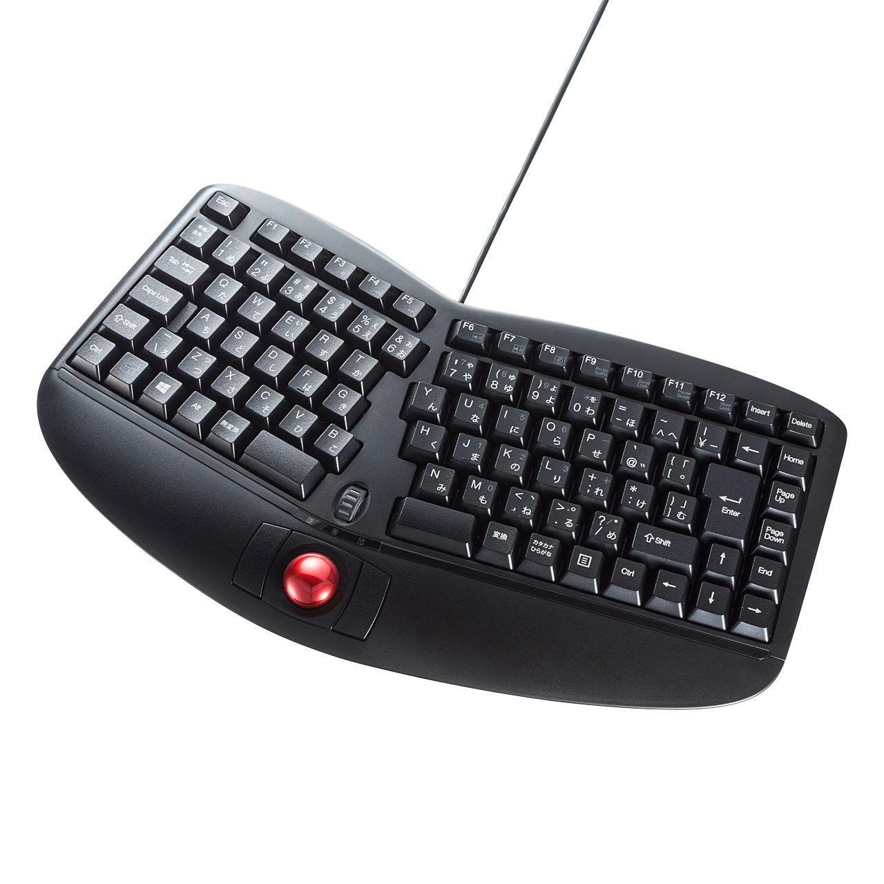 【数量限定】メンブレン 日本語109A配列 USB接続 有線 SKB-ERG5BK エルゴノミクスキーボード(トラックボール付き) サンワサプライ