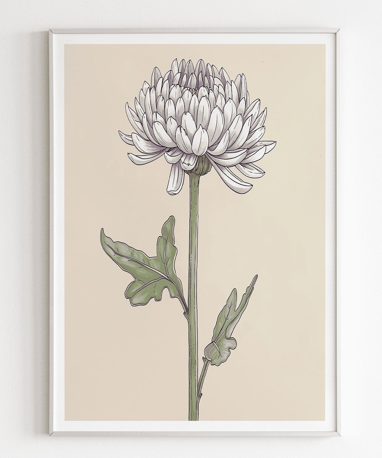 A4ポスター a0734 ポスター アートポスター 絵画 植物 スケッチ 色鉛筆 パステル 菊の花